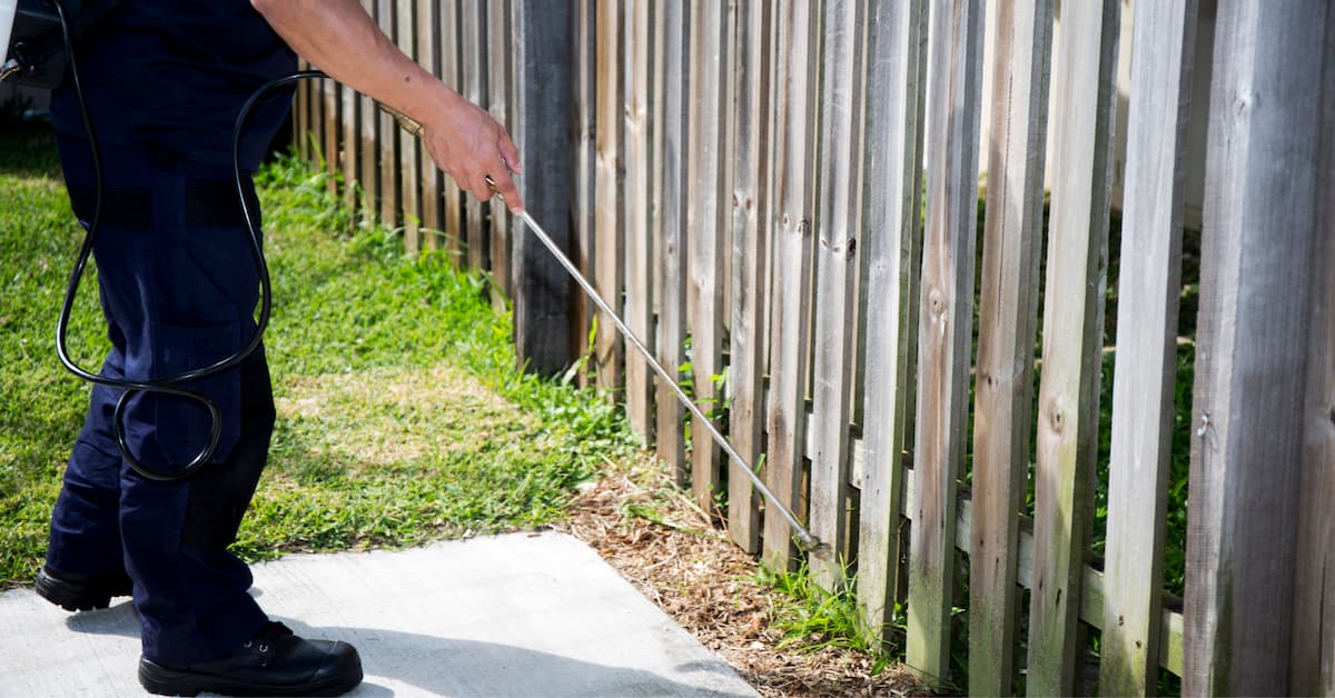 How Often Should Pest Control Be Done for Homes in Boise